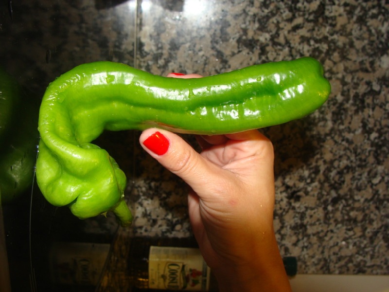 Submissive to My Lover